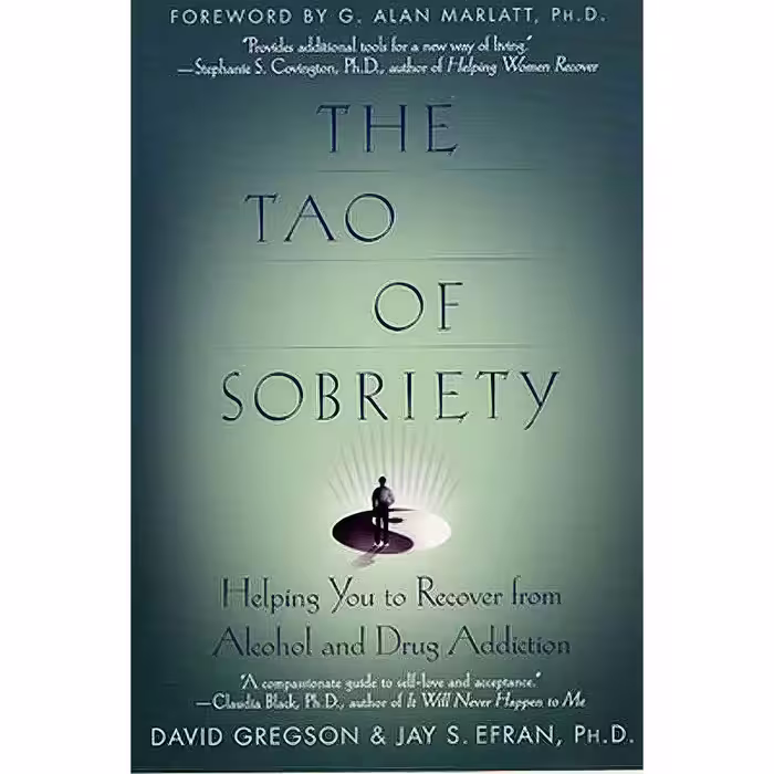 کتاب زبان اصلی The Tao of Sobriety انتشارات St Martins Griffin