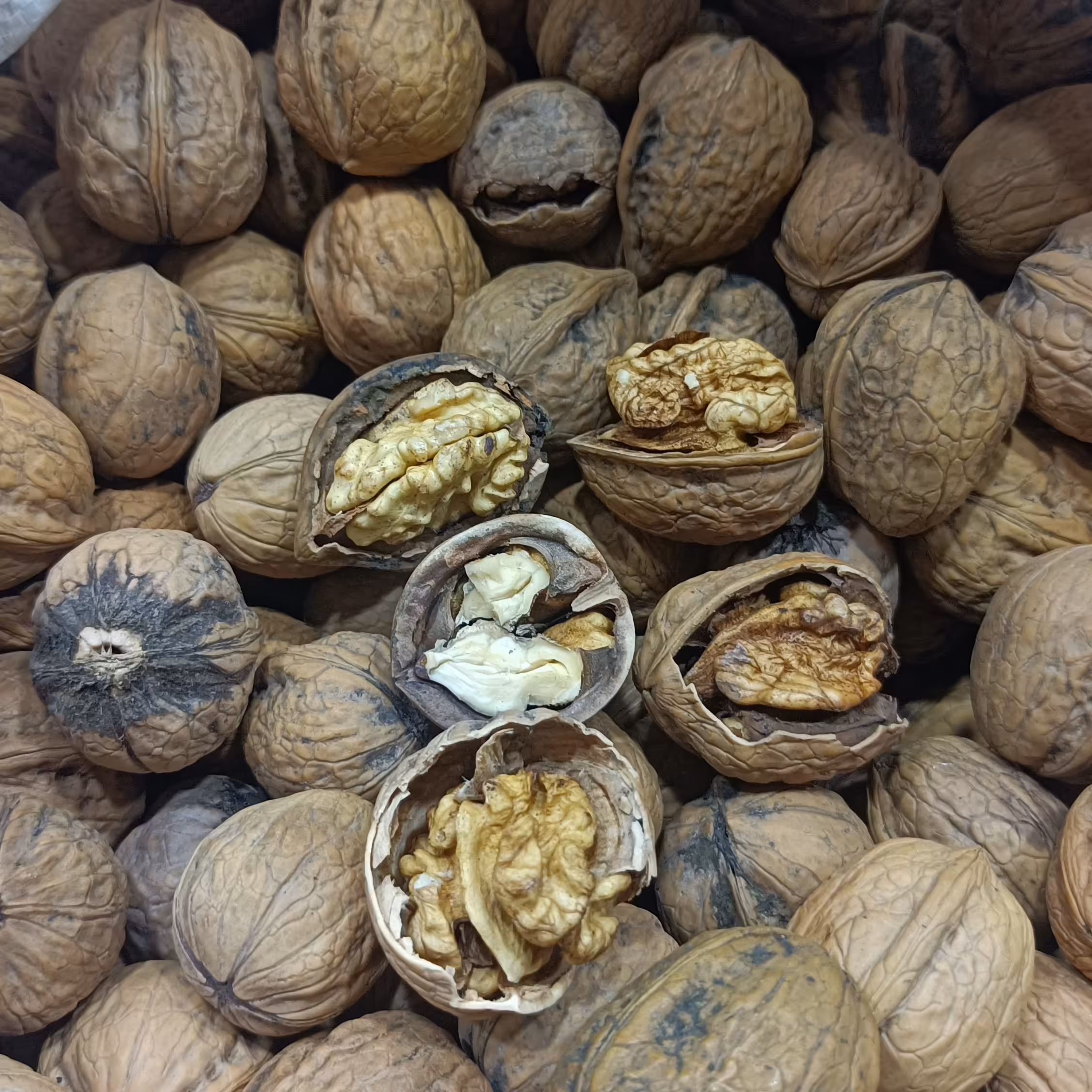 گردوی امسالی تازه بروجرد یک کیلویی 