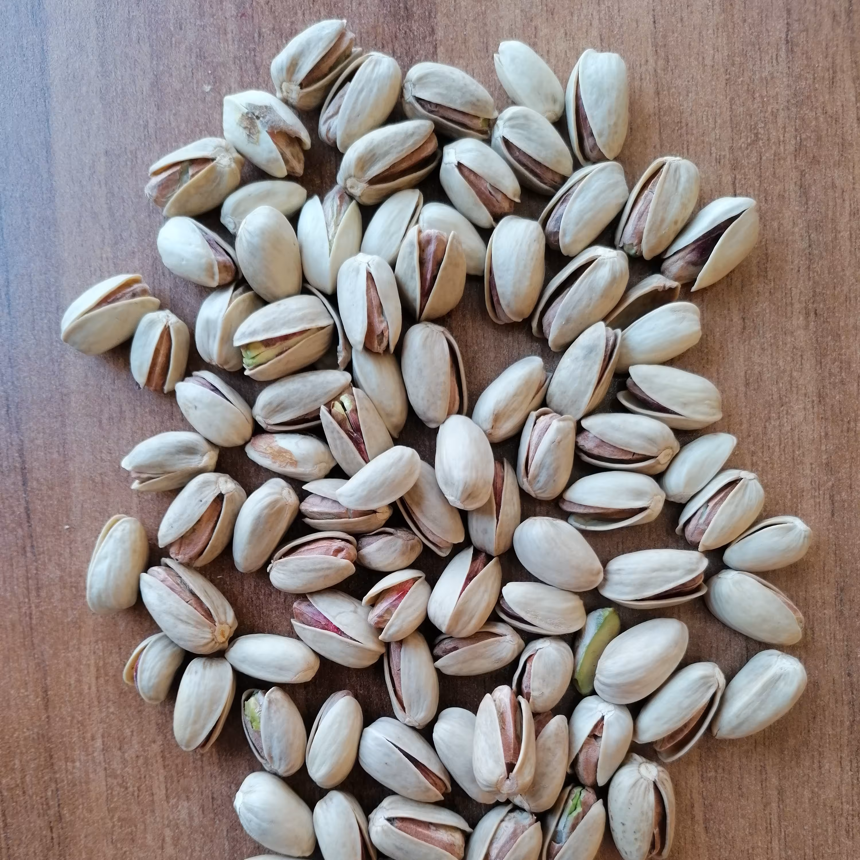 پسته اکبری