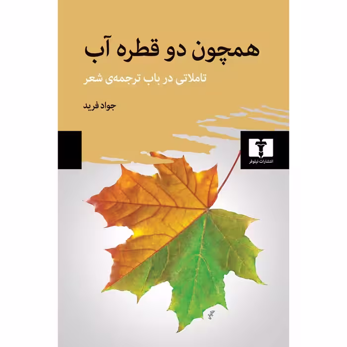 همچون دو قطره آب