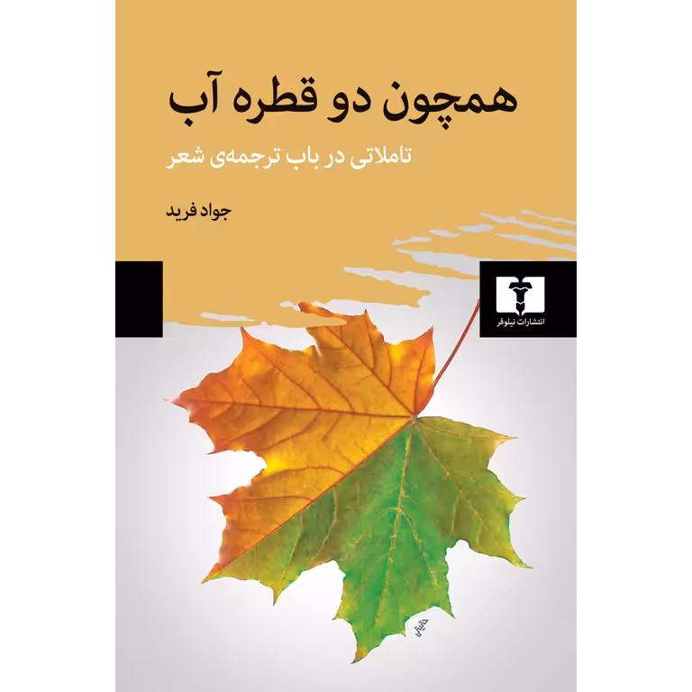 همچون دو قطره آب