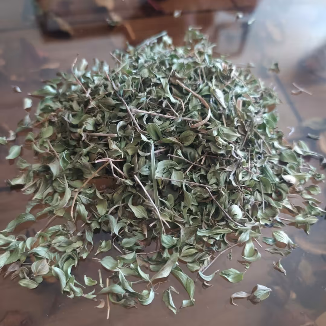 آویشن برگ پهن کوردستان عالی(700گرم)