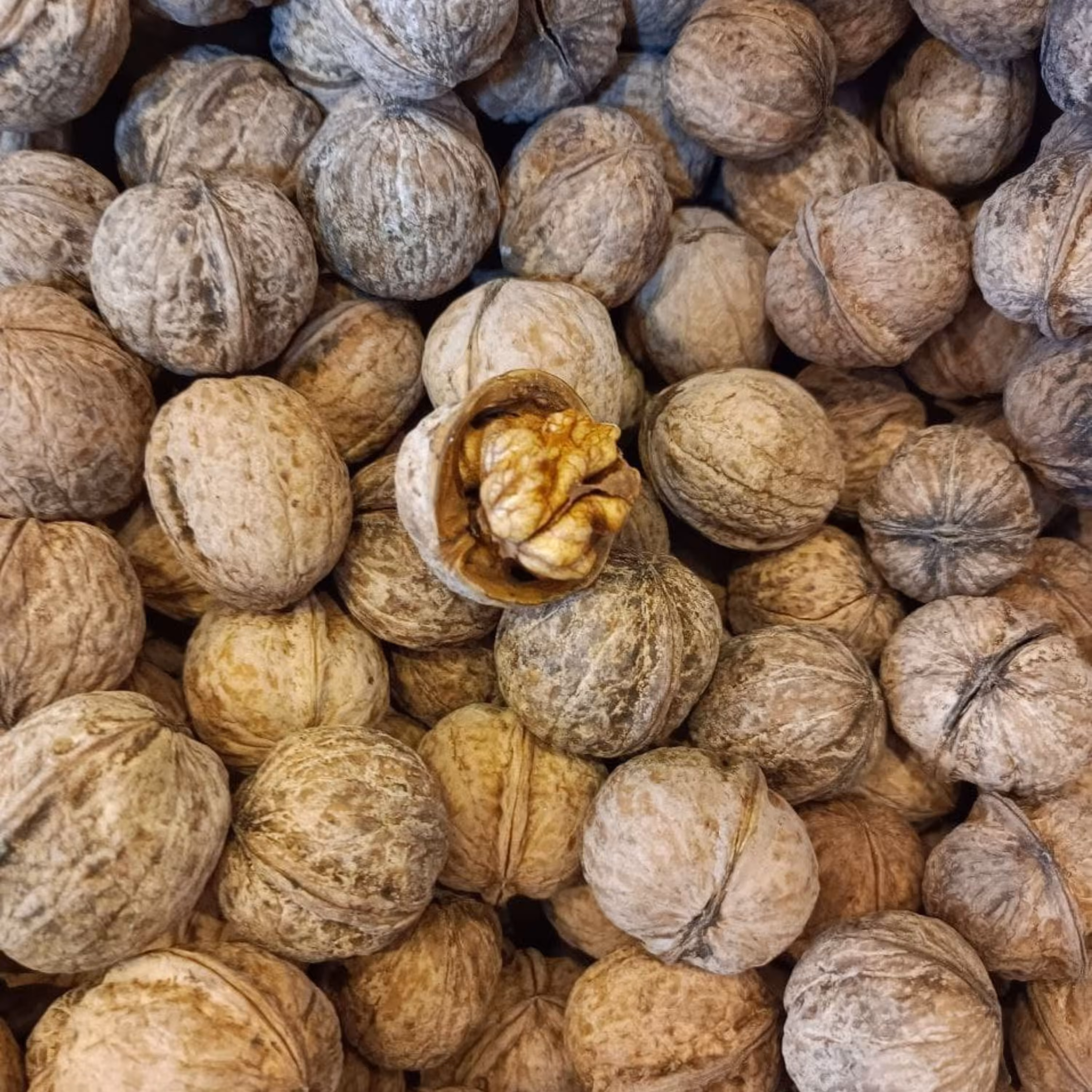 گردو با پوست طرقبه یک کیلویی(95درصد سفید) 