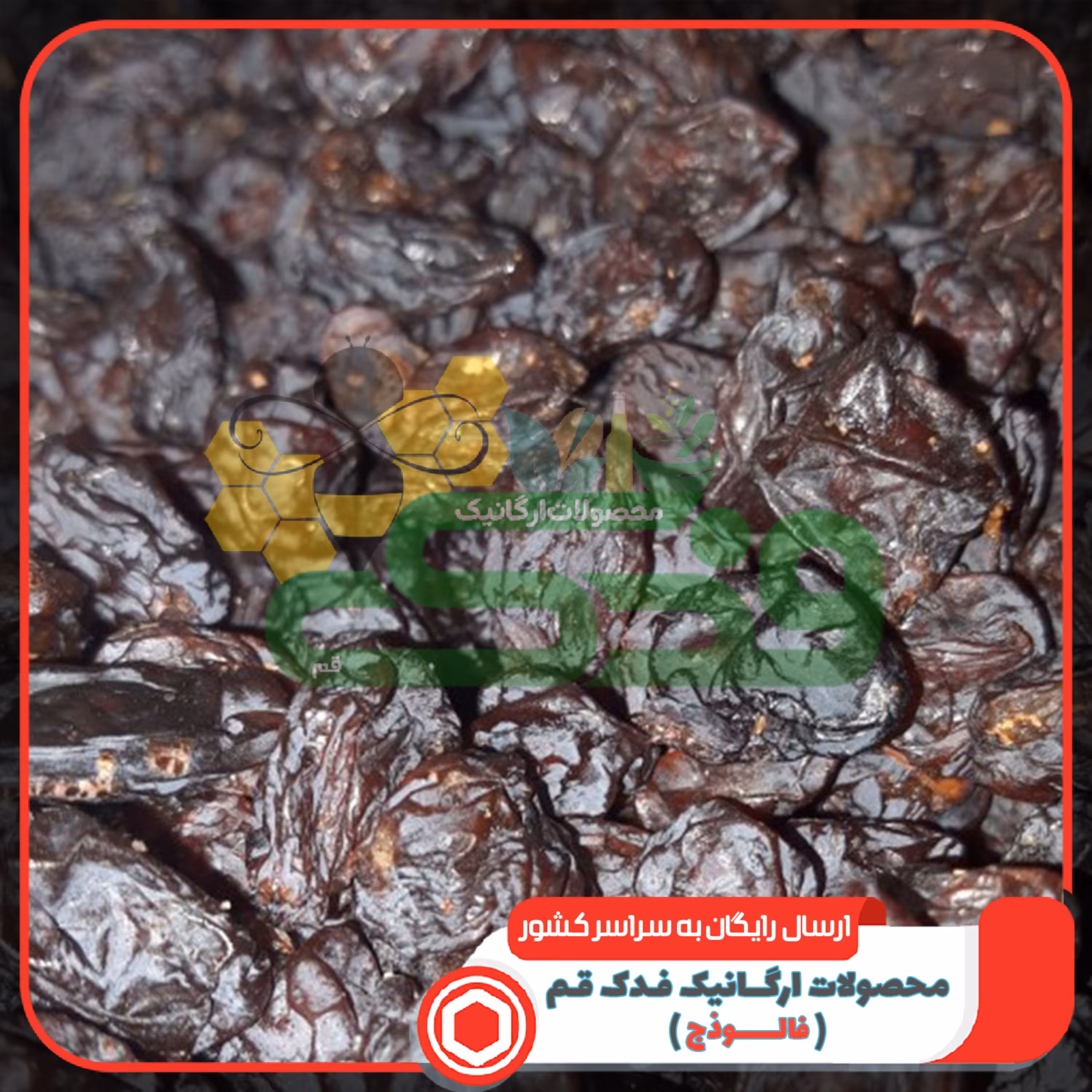 مویز ایرانی ممتاز فدک (800گرم)