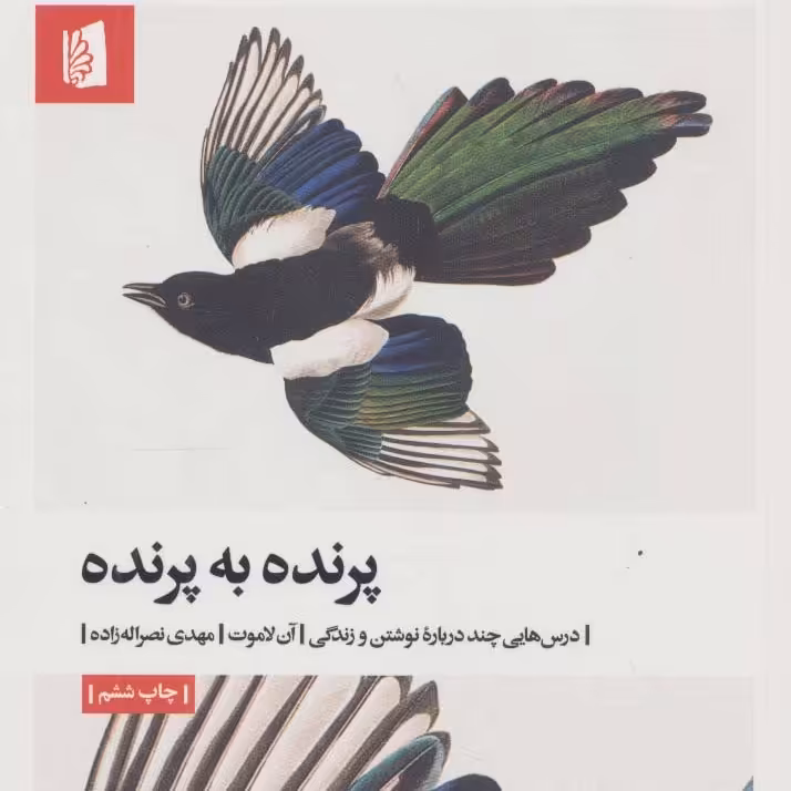 پرنده به پرنده (درس هایی چند درباره نوشتن و زندگی)