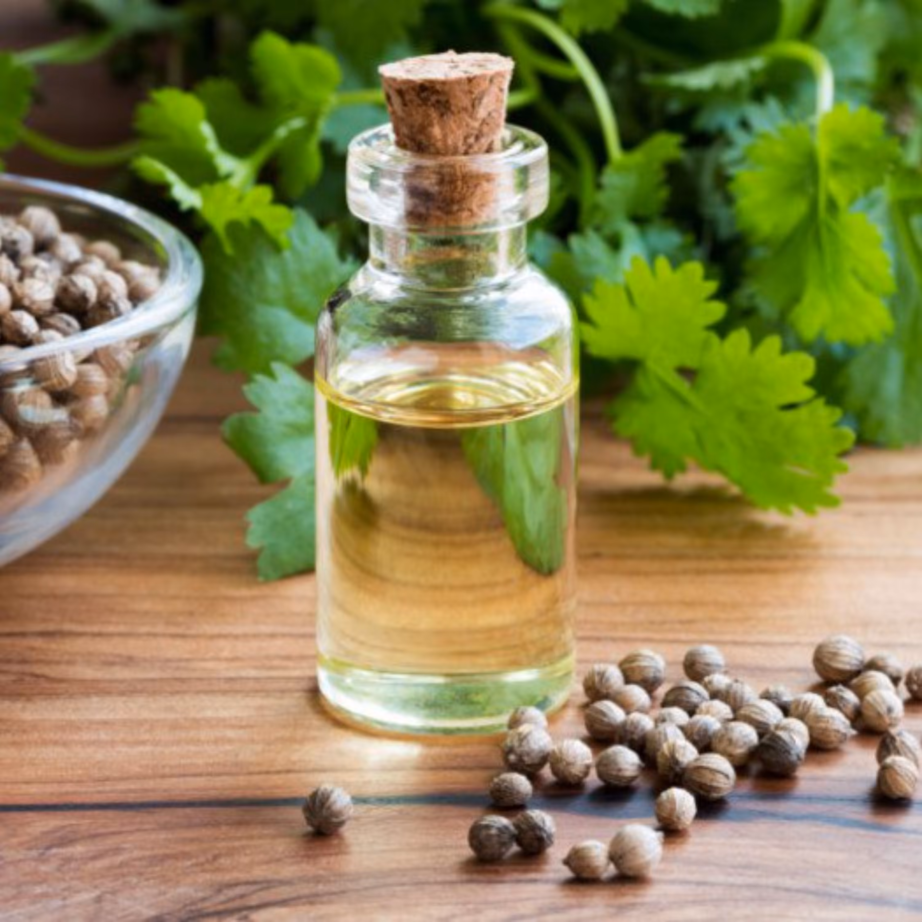 اسانس مایع خوراکی گشنیز برند آلمانی در بسته 100 گرمی