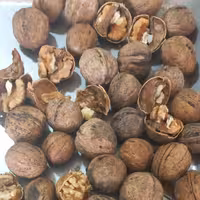 گردوی ایرانی ، هر کیلو حاوی 500 گرم مغز