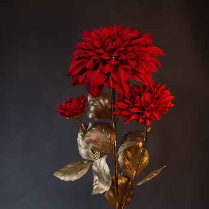 گل داوودی کنار سالنی