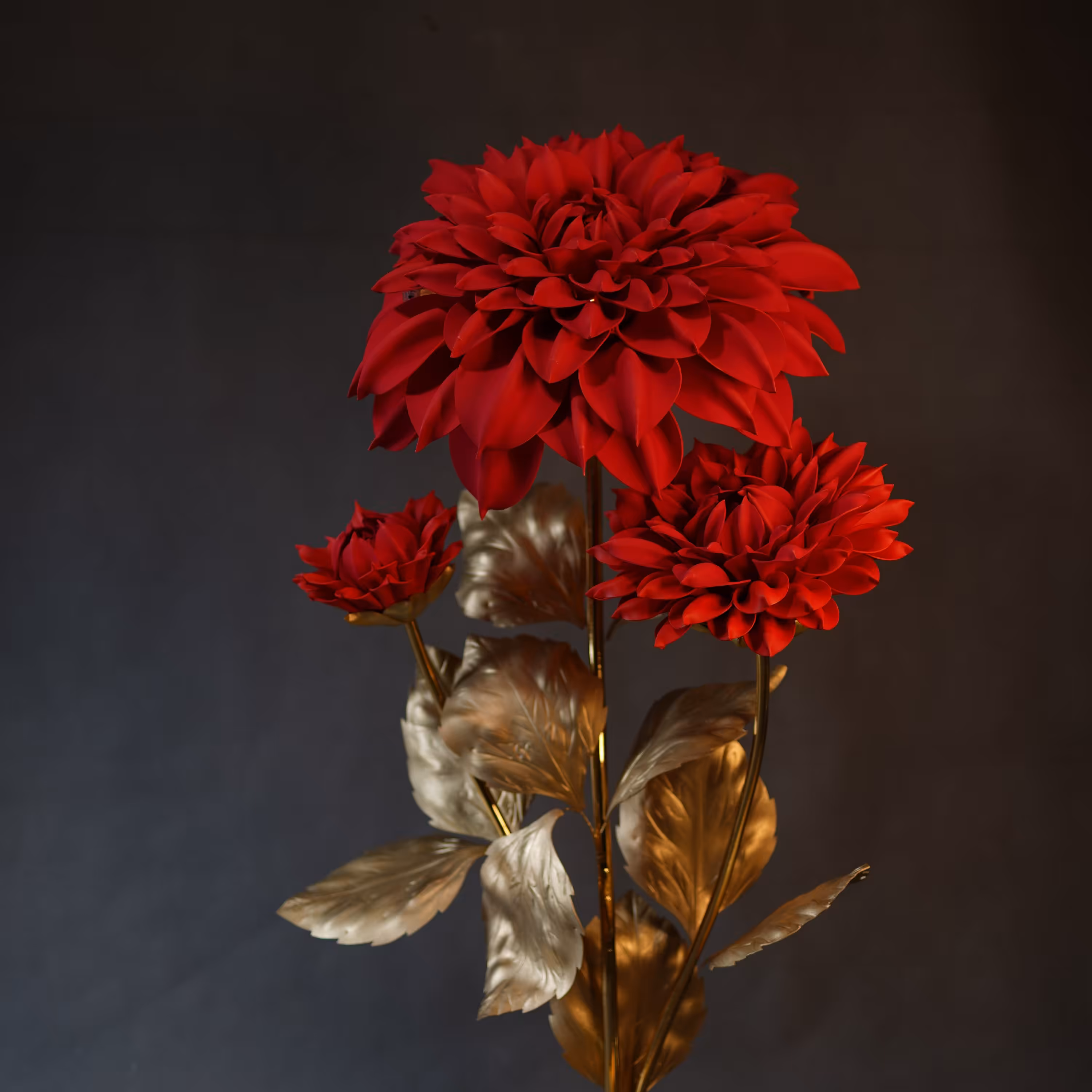 گل داوودی کنار سالنی