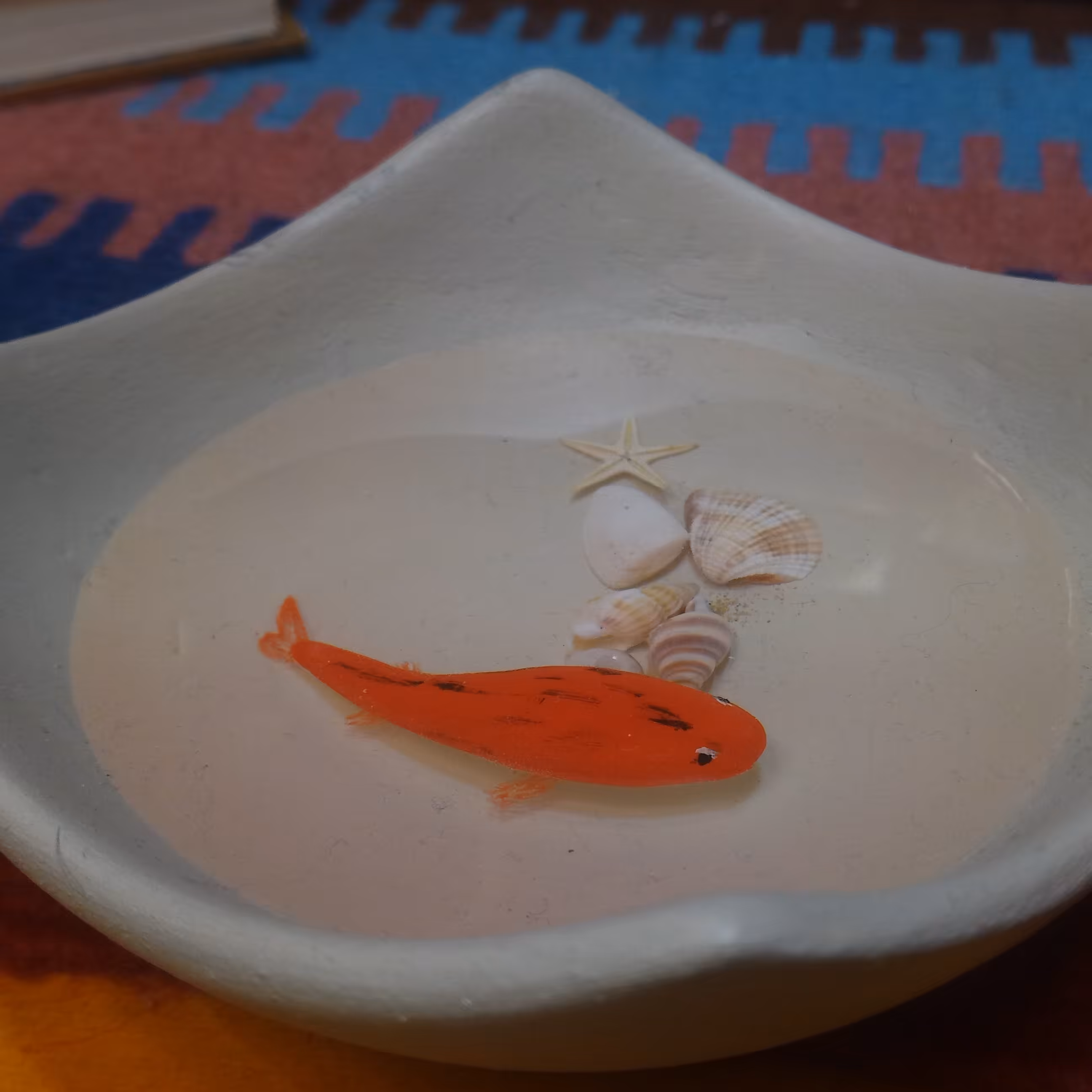 ماهی رزینی برای هفت سین در طرحهای مختلف 