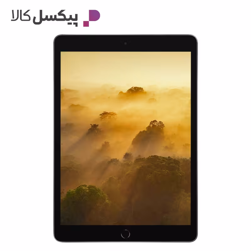 تبلت اپل 10.2 اینچی مدل iPad 9th Generation Wi-Fi 2021 ظرفیت 256 گیگابایت و رم 3 گیگابایت | فروشگاه اینترنتی پیکسل کالا