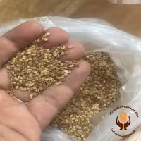 کنجد قهوه ای (سودان) 25 کیلویی درجه 1 پاک شده