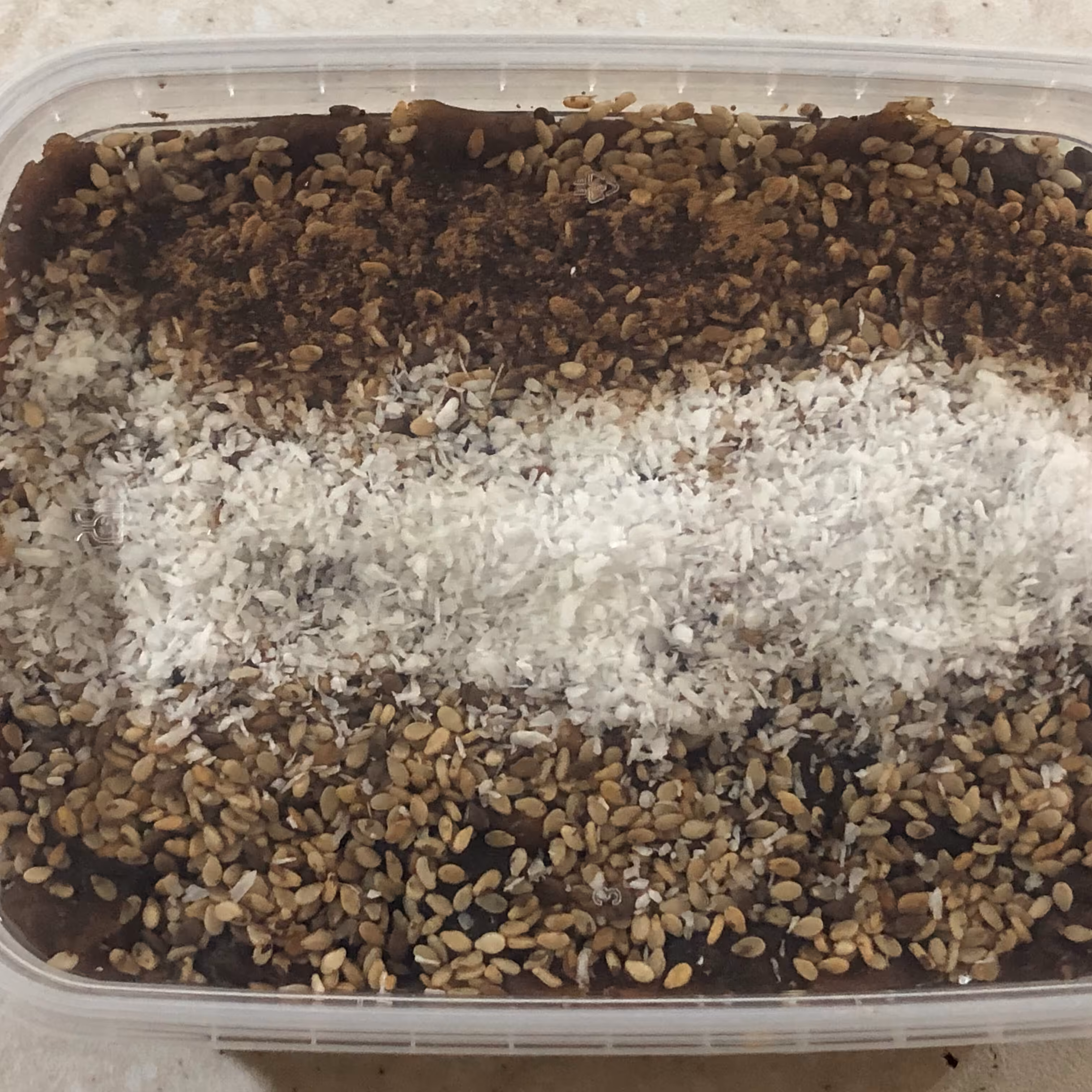 حلوا خرمایی با مغز گردو با تزیین کنجد و نارگیل 500گرمی 