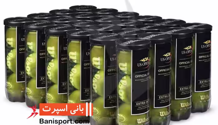 توپ تنیس Wilson ball us open extra duty
