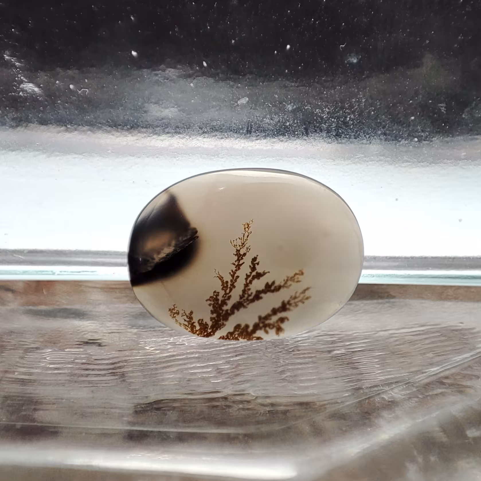 شجر قائن طبیعی و معدنی کد 547