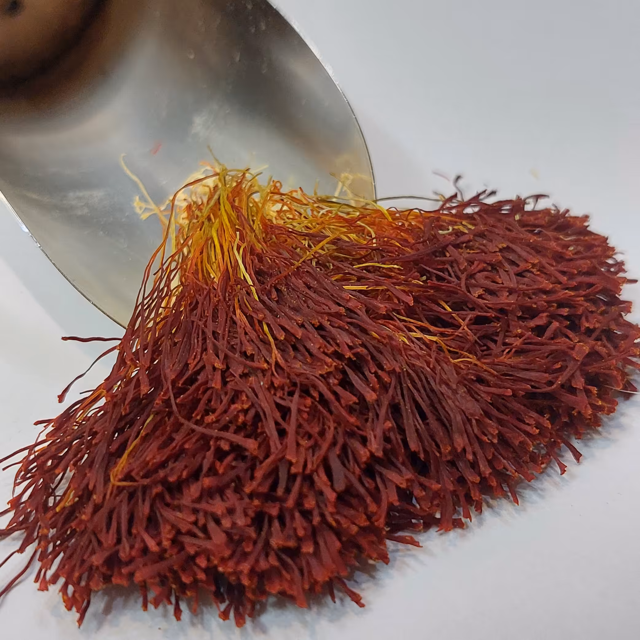 زعفران دخترپیچ ( دسته) 