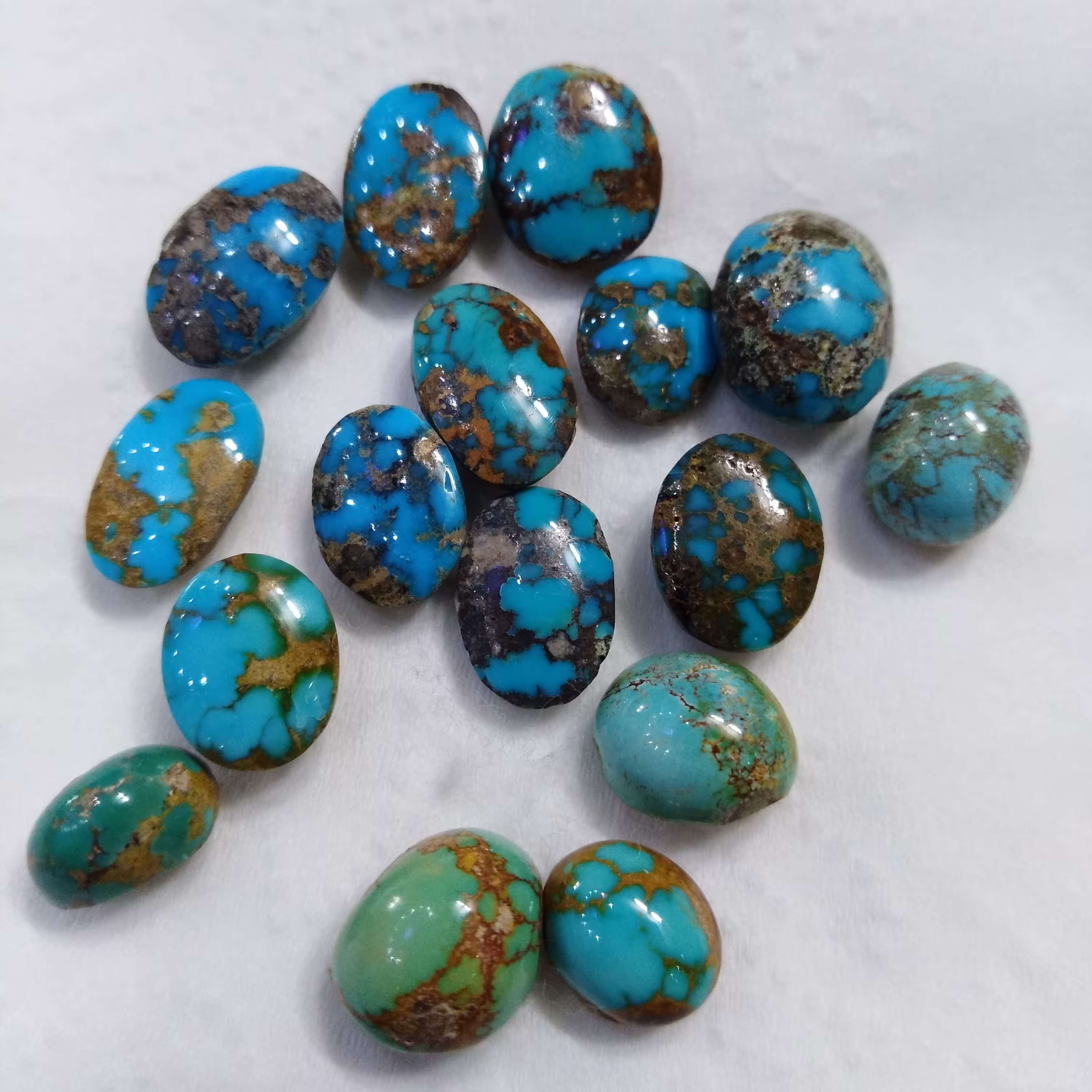 پک 16 عددی فیروزه شجر نیشابور کاملا طبیعی و اعلا