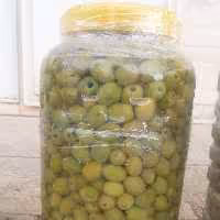 3 کیلو خالص زیتون بی هسته متوسط سایز ممتاز  از زیتون شهرستان طارم علیا مستقیم از باغدار