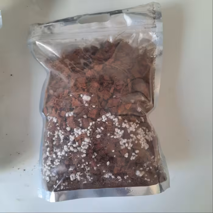 خاک مخصوص زاموفیلیا مادری بسیار مرغوب(5 لیتری)