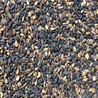 کنجد سیاه خام 1000 گرم