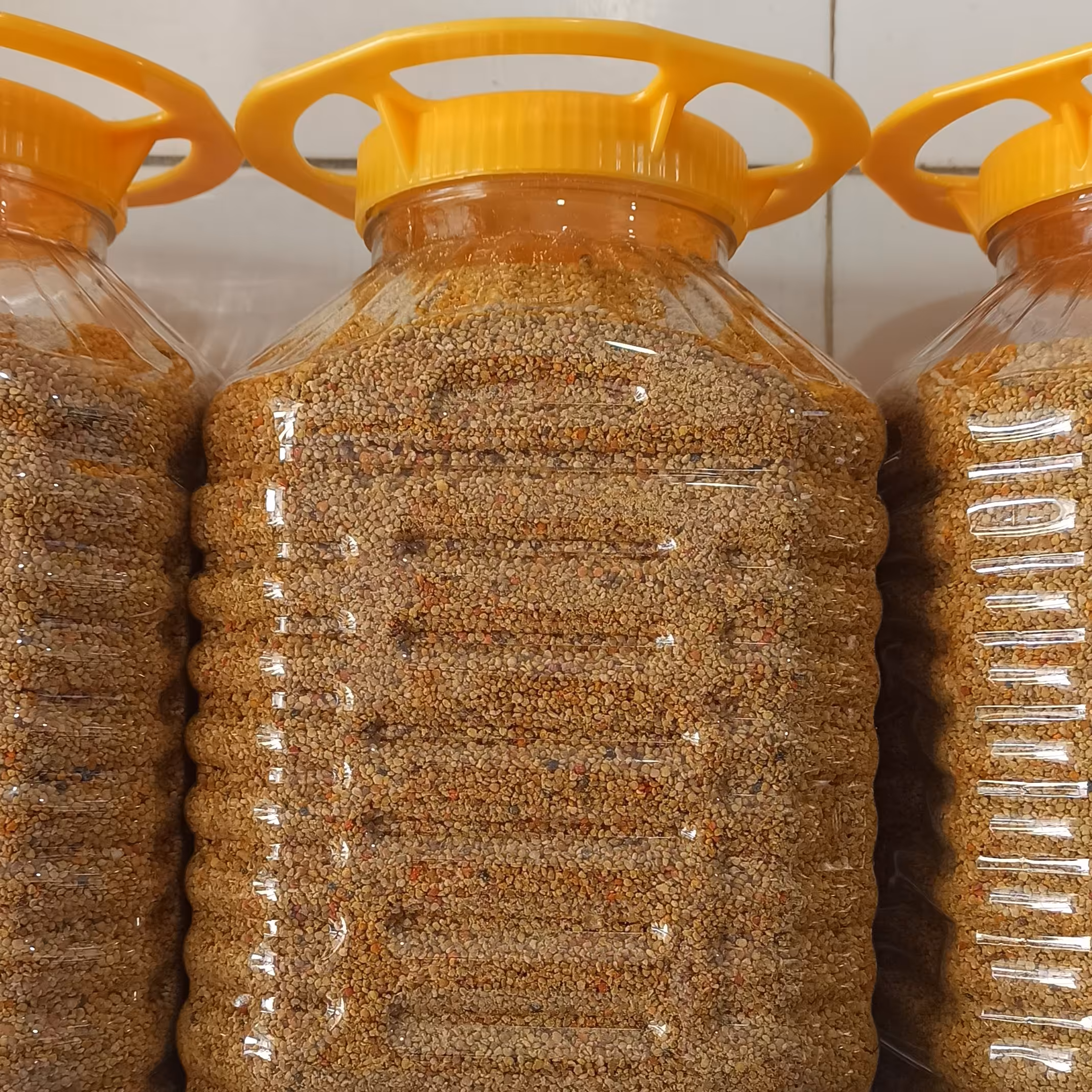 گرده گل ایرانی چند رنگ
