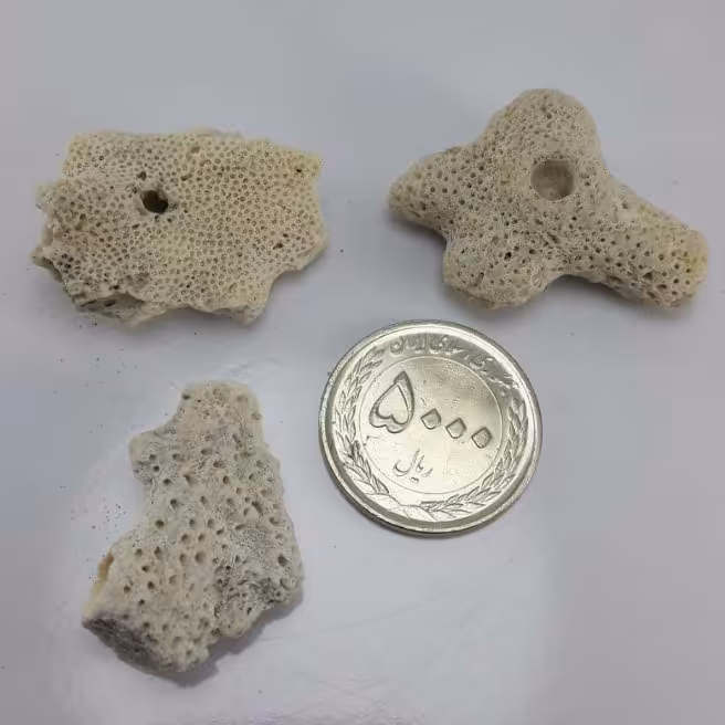 سه تیکه مرجان طبیعی و خاص
