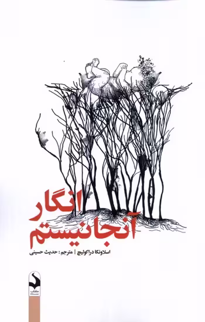 کتاب انگار آنجا نیستم کتاب سده اثر اسلاونکا دراکولیچ