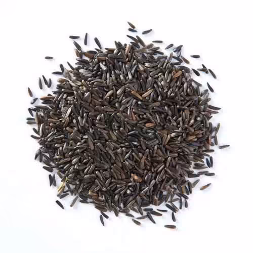 تخم شربتی بالنگ (بالنگو )