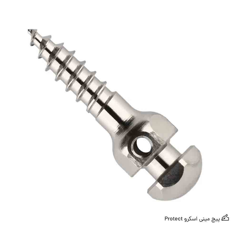 پیچ مینی اسکرو Protect