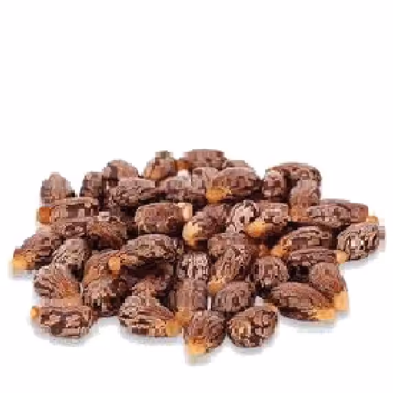 روغن کرچک ( 30 گرمی )