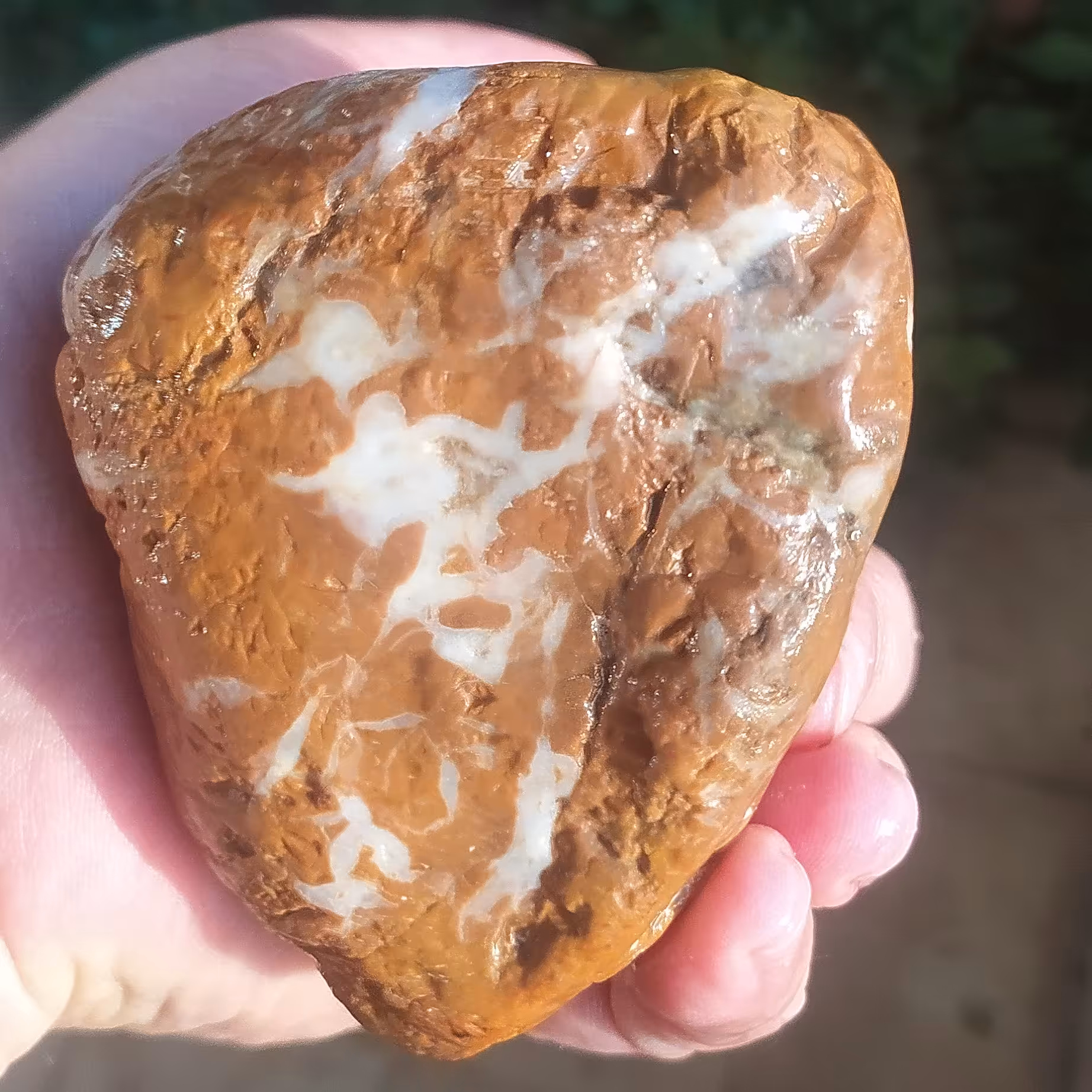 راف سنگ جاسپر مریم