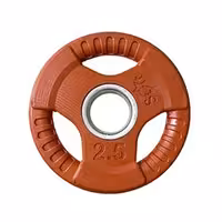 وزنه صفحه هالتر فرمانی رنگی 2.5 کیلوگرمی