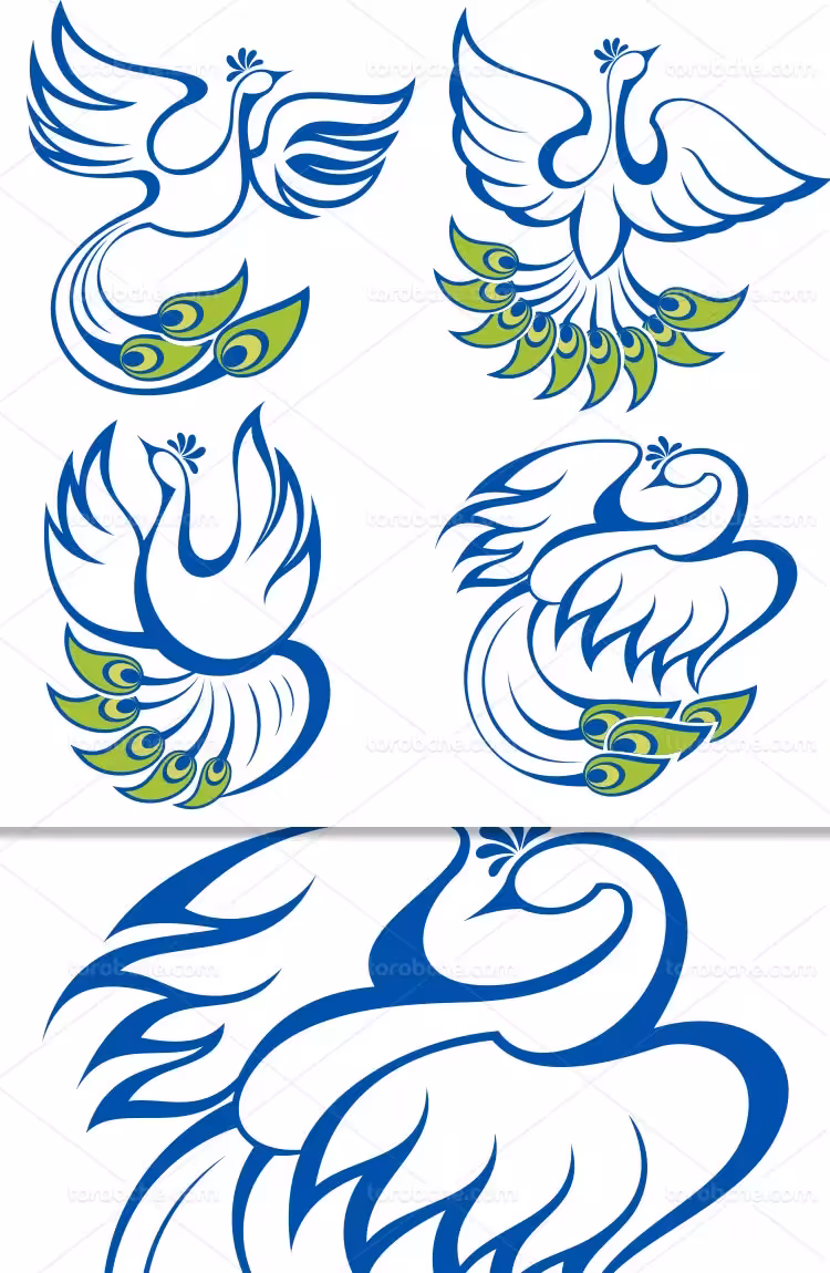 وکتور لوگو طاووس آبی | گرافیک با طعم تربچه
