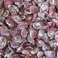 لوبیا عروس (1کیلو)