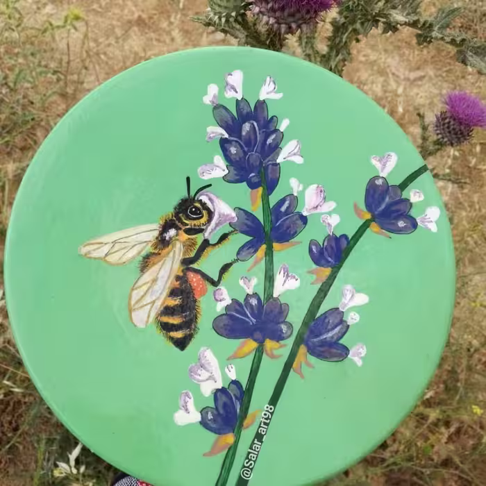 دیوارکوب منظره