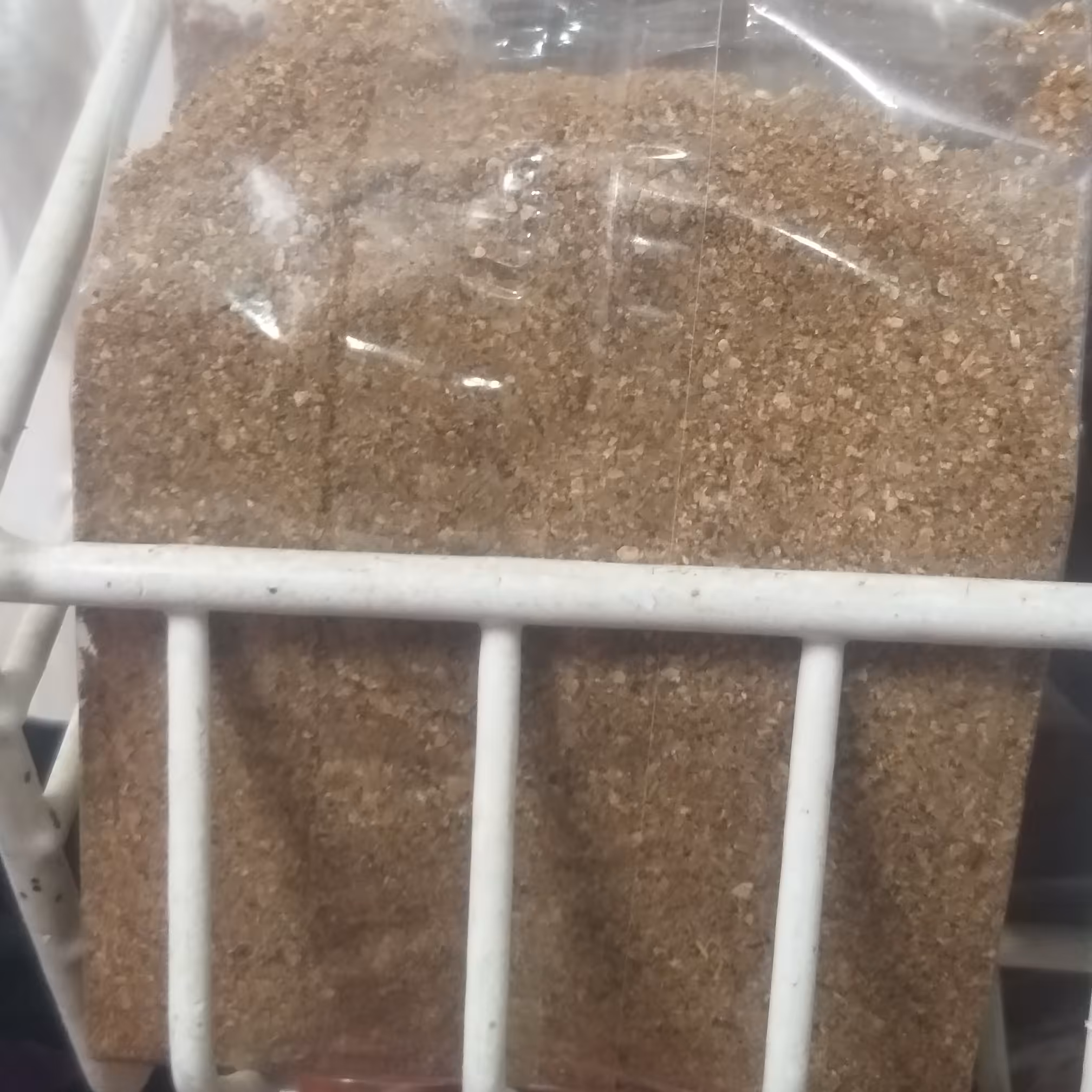 پودر لیمو عمانی صد گرمی 