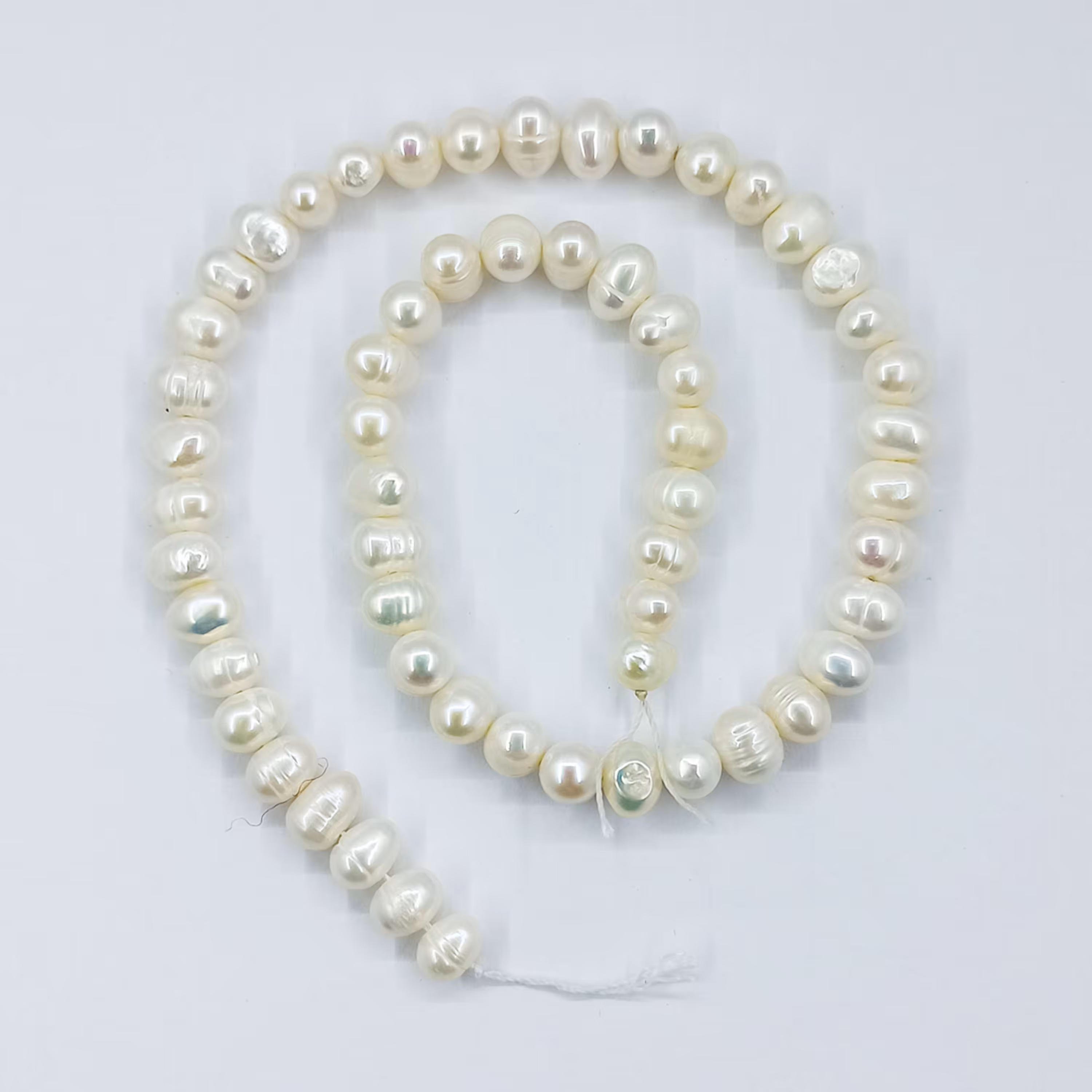 ریسه مروارید 