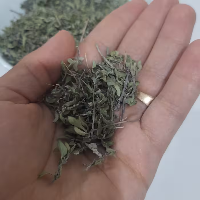 آویشن کوهی بارایحه ای از دامن کوهستان کاملا طبیعی امساله