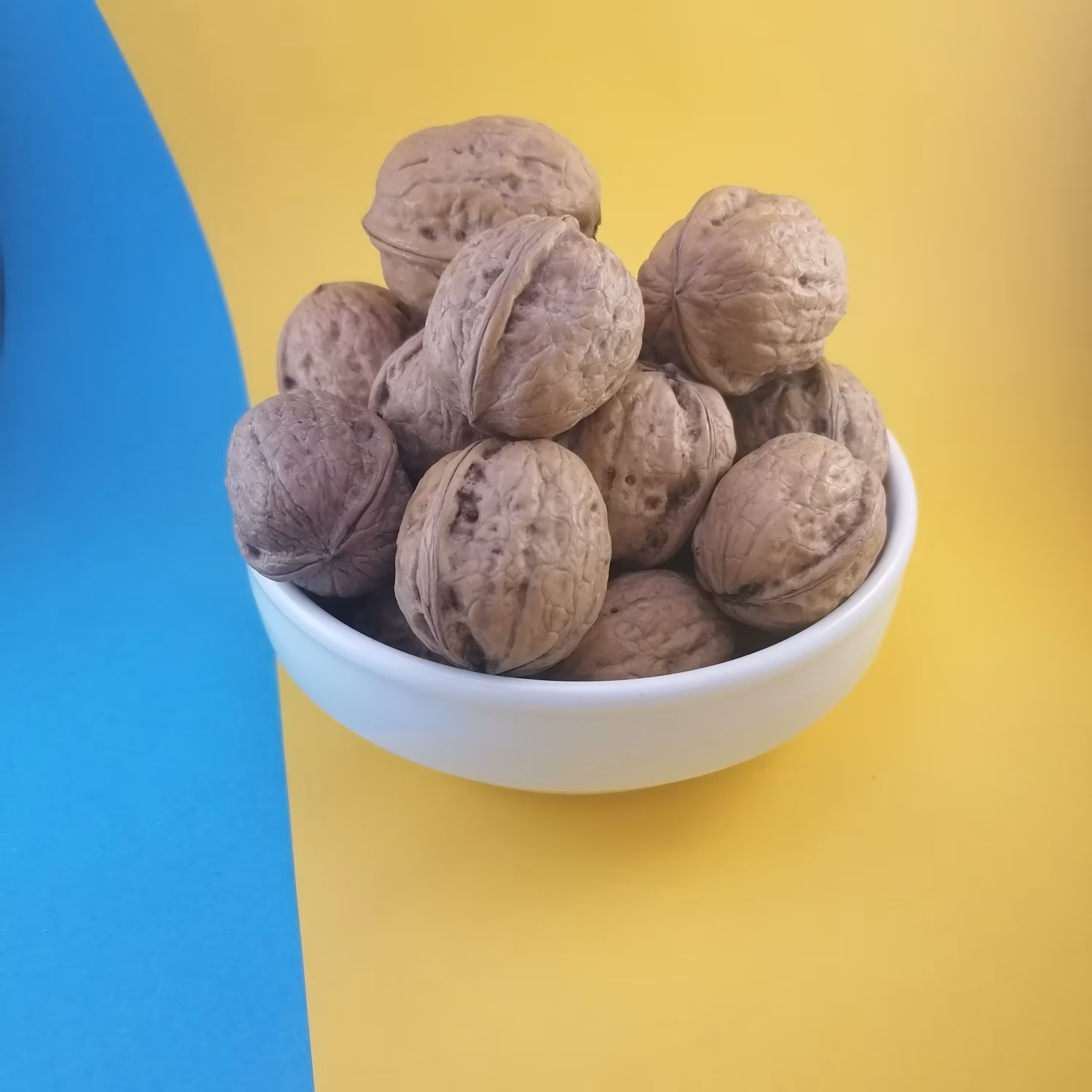 گردو با پوست بسیار نازک سفید و چرب (500گرمی) خشکبار شفا