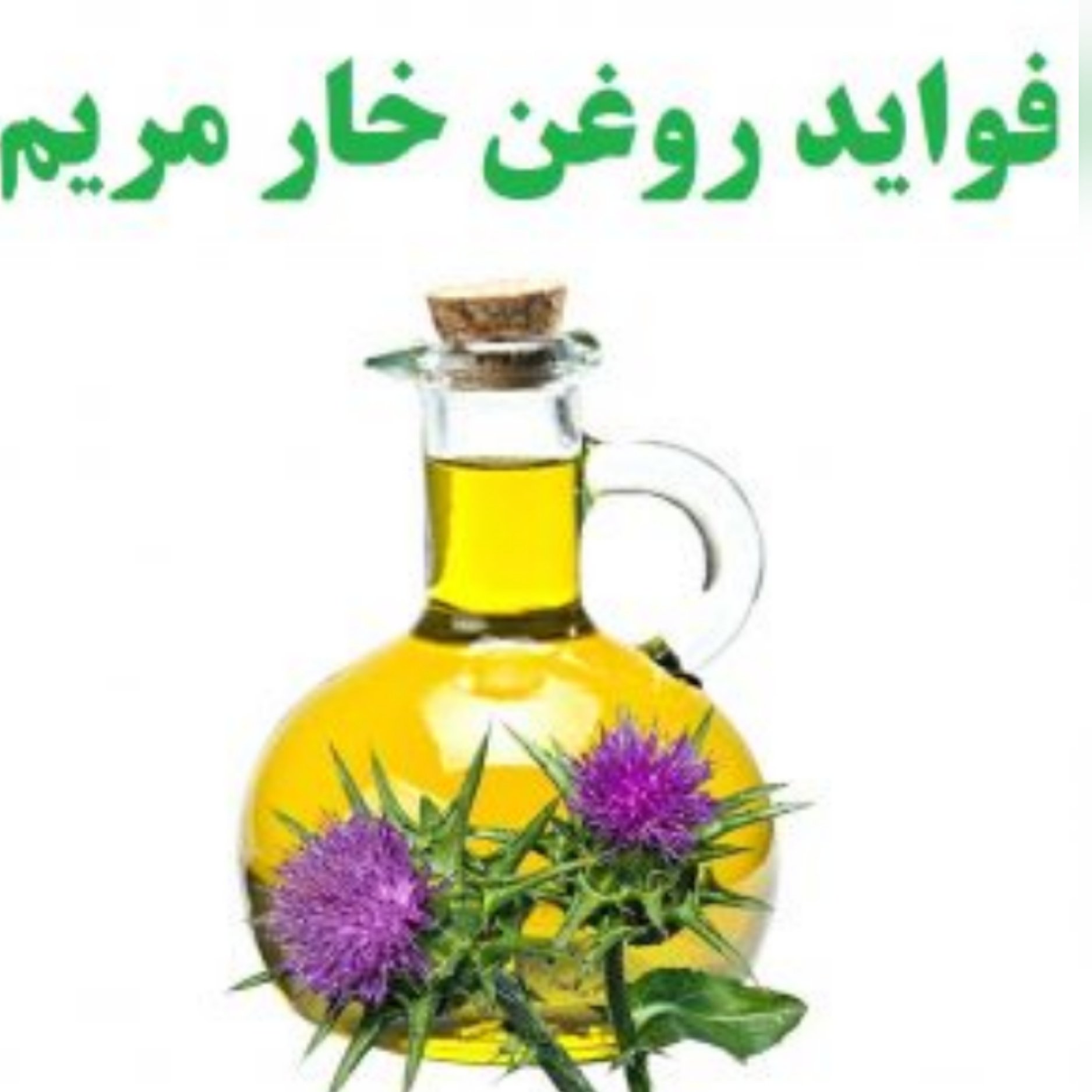 روغن خار مریم 30 سی سی مناسب پوست و کلیه