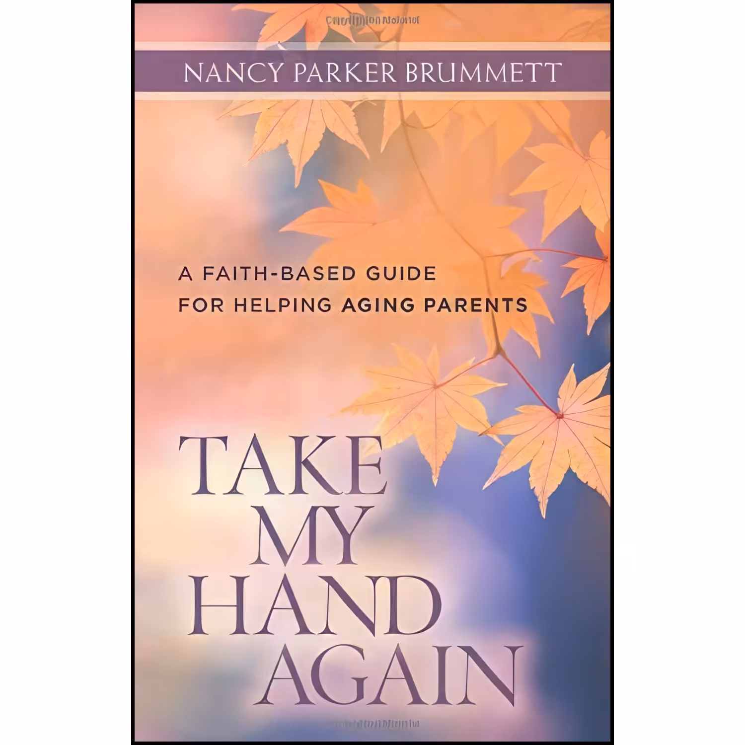 کتاب زبان اصلی Take My Hand Again اثر Nancy Parker Brummett
