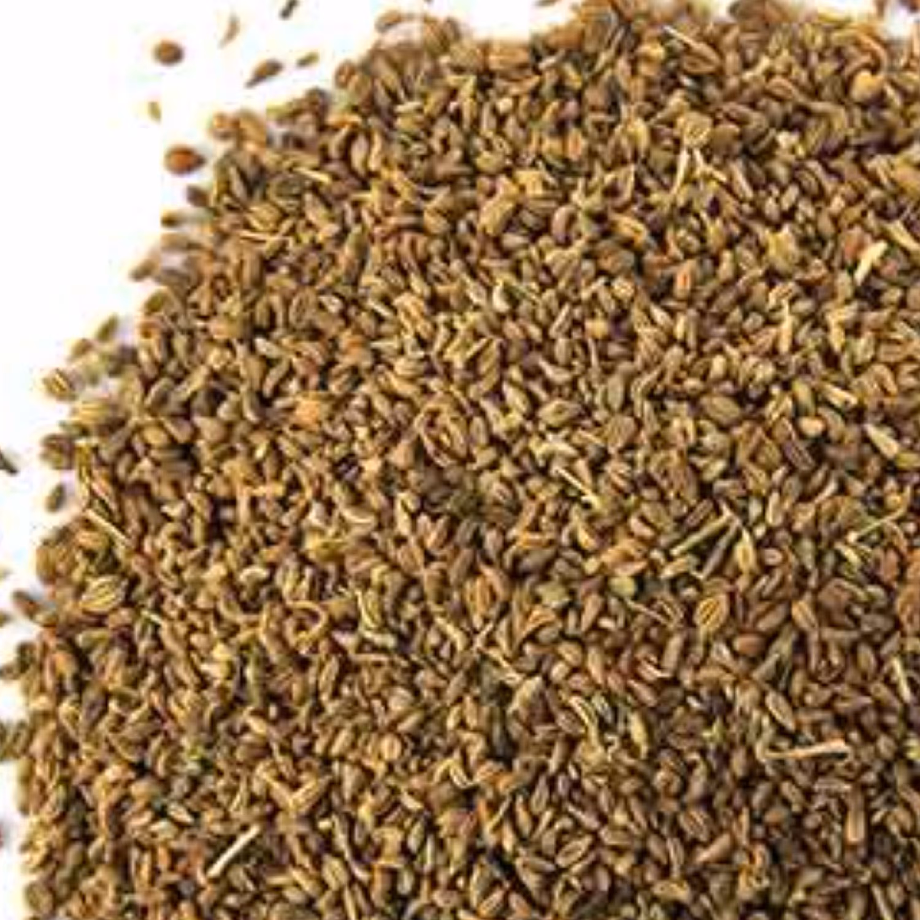 زنیان 5 کیلویی