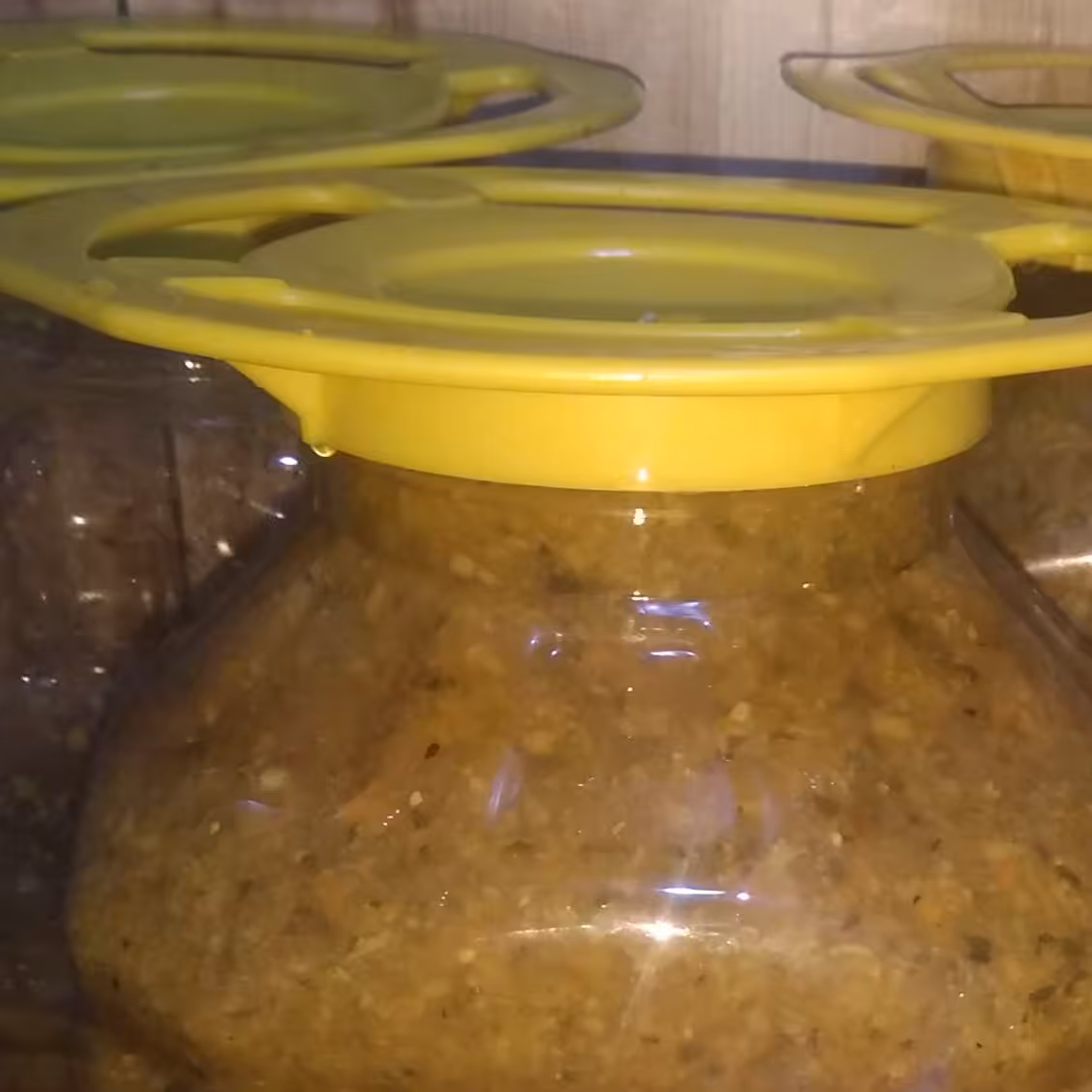 ترشی لیته خانگی پت 10کیلویی