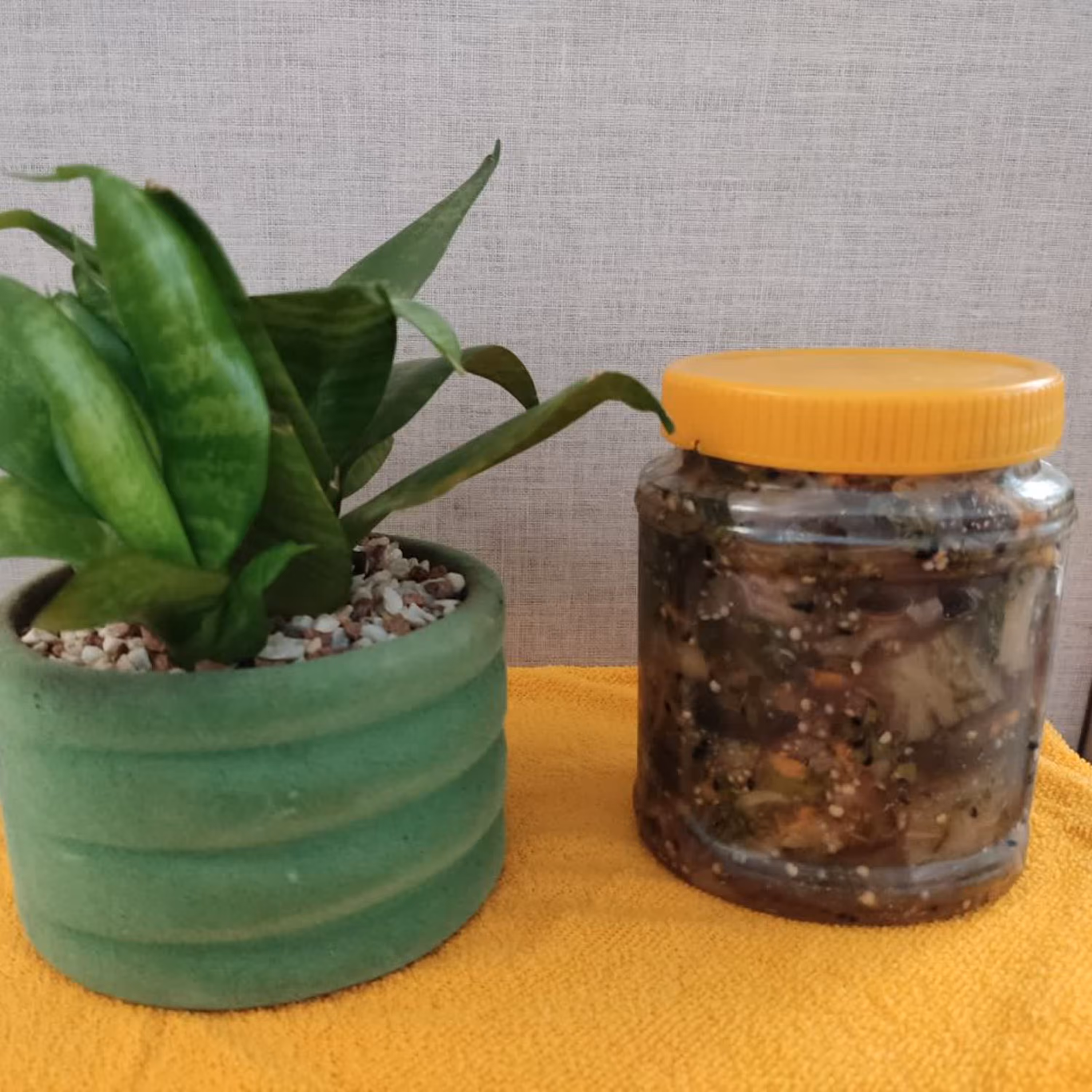 ترشی بادمجان  118