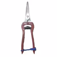 قیچی میوه چینی فولادی  ( مخصوص برداشت میوه و سبزی جات و گل )