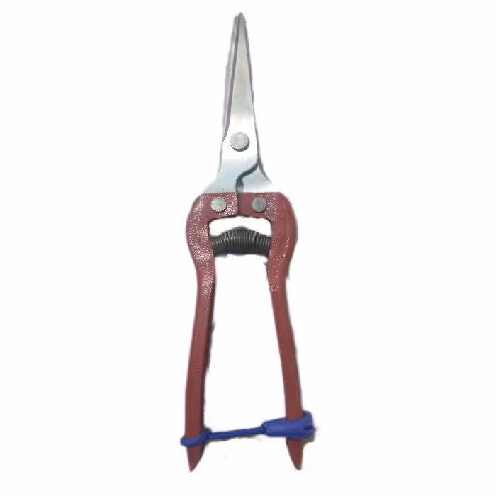 قیچی میوه چینی فولادی  ( مخصوص برداشت میوه و سبزی جات و گل )