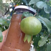 رب انار ترش محلی شمالی محصول درختان جنگلی پخت زنان روستایی شمالی