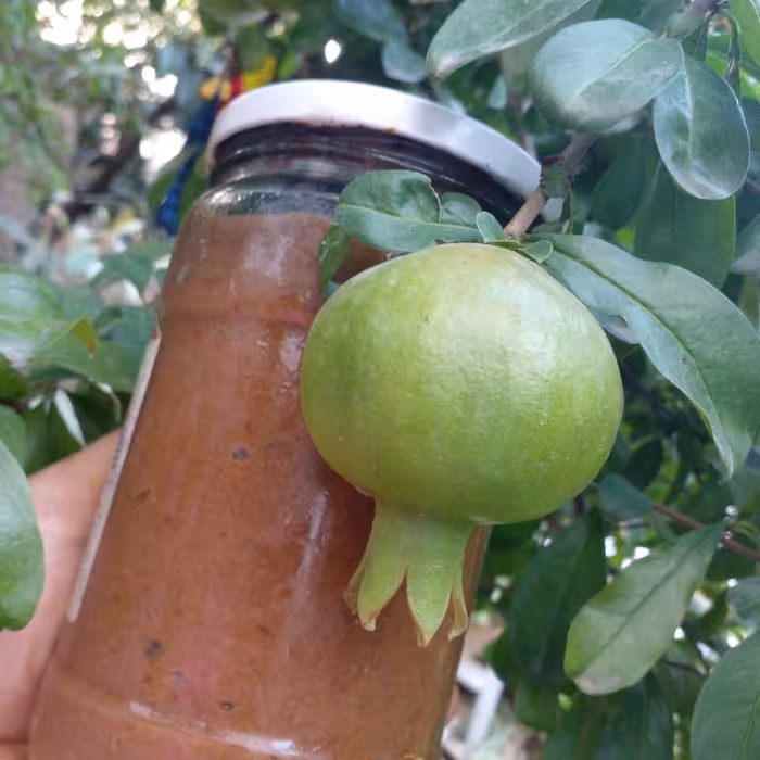 رب انار ترش محلی شمالی محصول درختان جنگلی پخت زنان روستایی شمالی