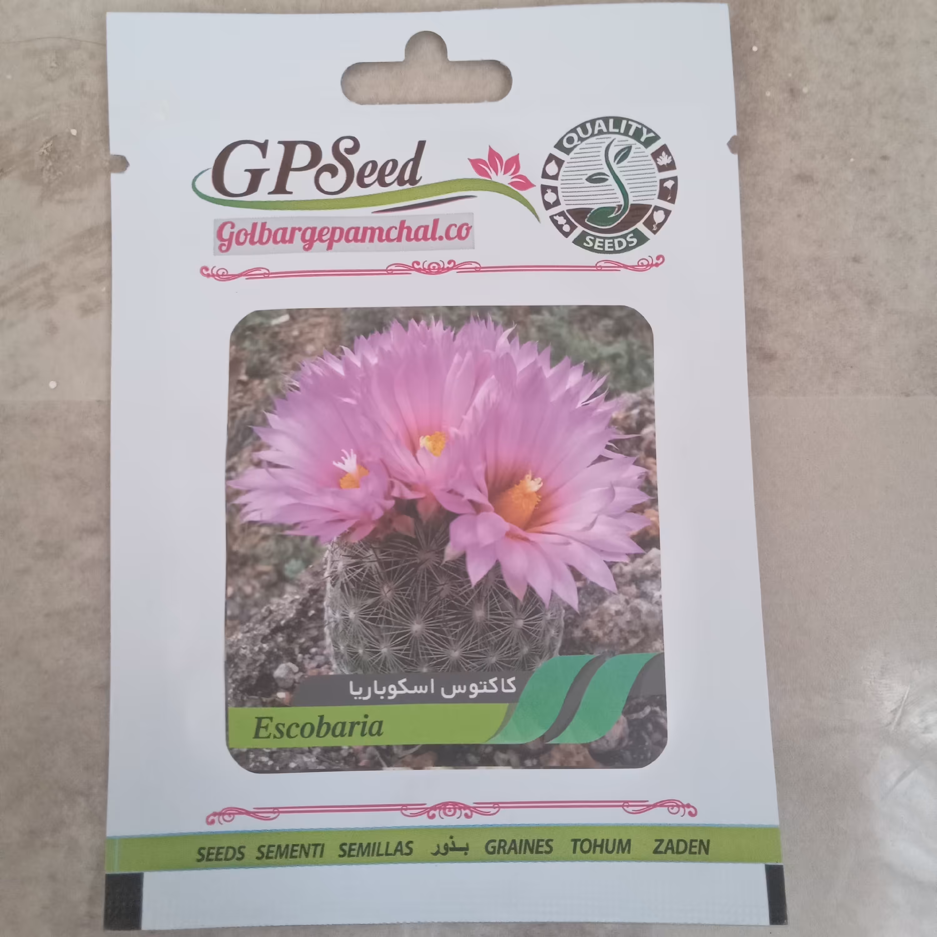 بذر کاکتوس اسکوباریا (ارسال به صورت پس کرایه)