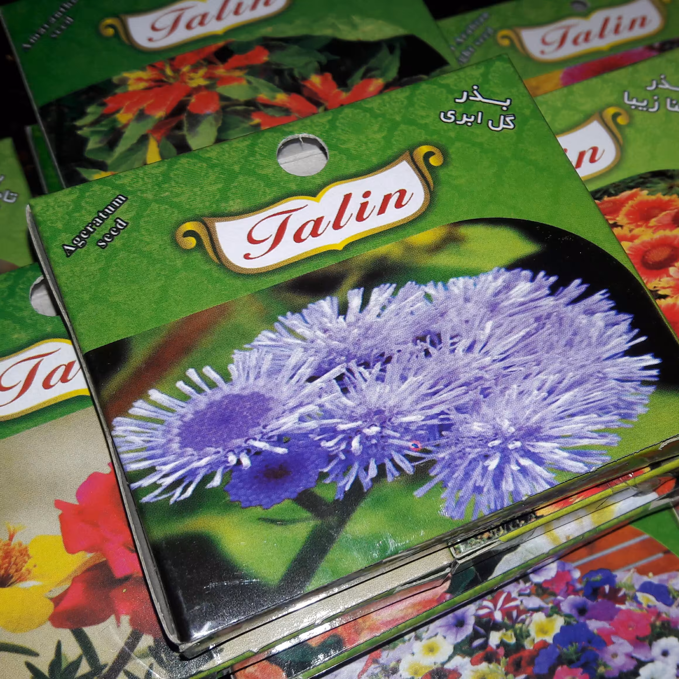 بذر گل ابری پا کوتاه گلدانی  Ageratum conyzoides